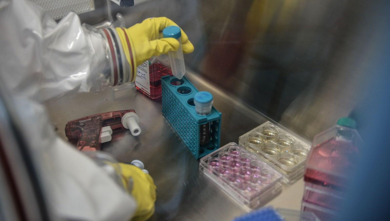 Yerli sağlık girişimleri son yılda ikiye katlandı